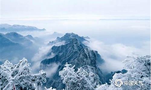 张家界1月天气情况,张家界1月天气情况如