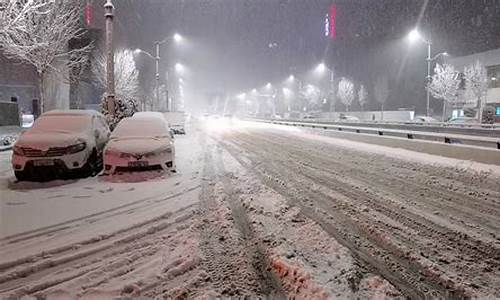 雨雪冰冻天气2008_雨雪冰冻天气应急预