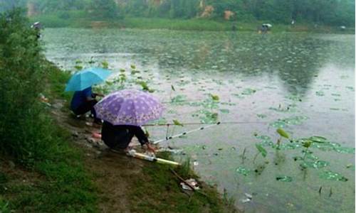 天气下雨怎么钓草鱼视频_天气下雨怎么钓草