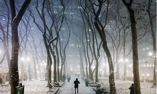 美国大雪大雾天气_美国雨雪天气