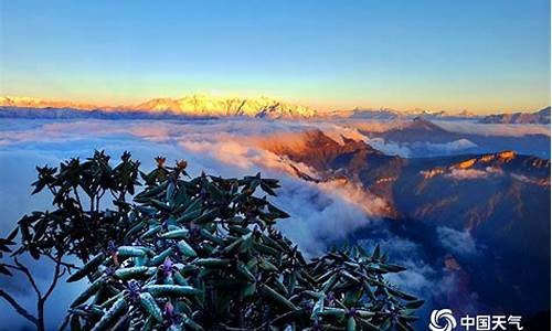 牛背山7月底天气_牛背岭天气预报