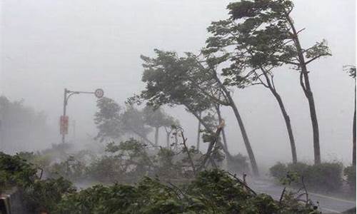 实拍江苏无锡大风天气_30日无锡大风死了多少人