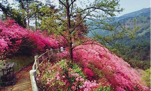 湖北木兰云雾山天气_黄陂木兰云雾山风景区天气预报