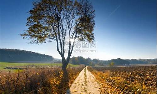 秋天多晴朗天气对吗_秋天天气晴朗明净,气候凉爽宜人