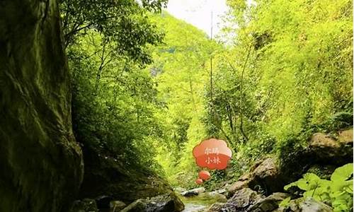 北川县天气预报15天_北川贯岭天气预报