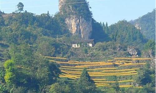 兴山县古夫镇天气预报_兴山县古夫镇天气预报查询