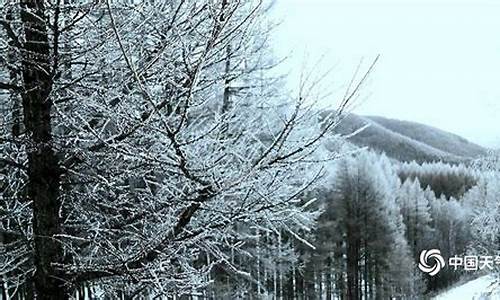 塞罕坝天气预报15天穿衣指南_塞罕坝天气预报天气