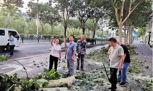 园林部门应对大风天气举措怎么写_园林部门应对大风天气举措