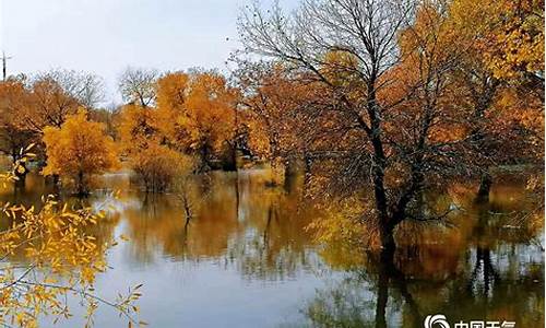 10月份胡杨林天气预报_10月份胡杨林天气