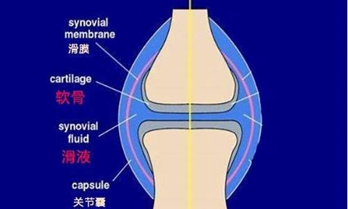 天气变化膝盖酸痛吃什么药_天气变化膝盖酸痛