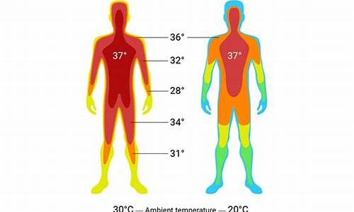 天气热人体温度会升高吗_天气热人体体温低吗