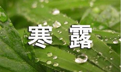 大班有关寒露的教案_大班寒露节气天气观察