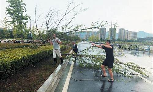 乡镇应对大风天气举措_乡镇应对极端天气应急预案